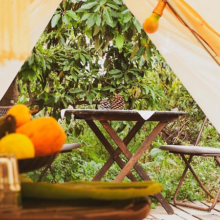 فندق Yurt In Avocado Garden غيمار المظهر الخارجي الصورة