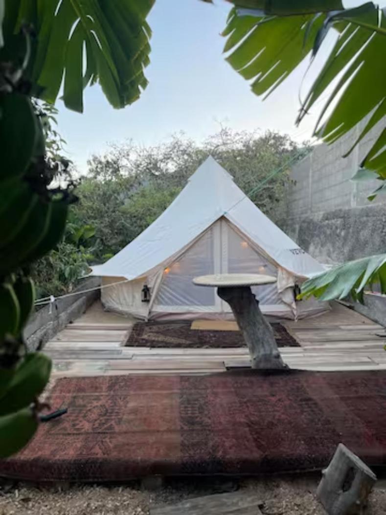 فندق Yurt In Avocado Garden غيمار المظهر الخارجي الصورة