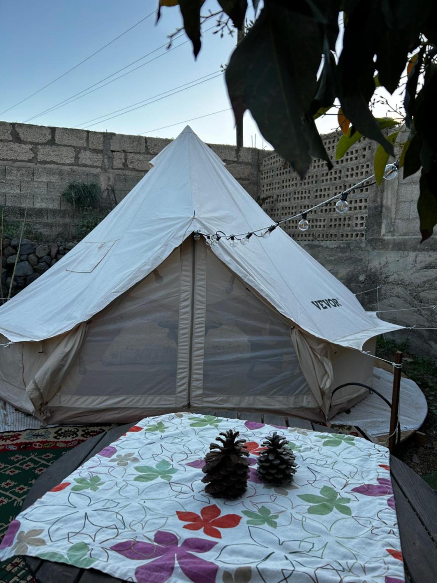 فندق Yurt In Avocado Garden غيمار المظهر الخارجي الصورة