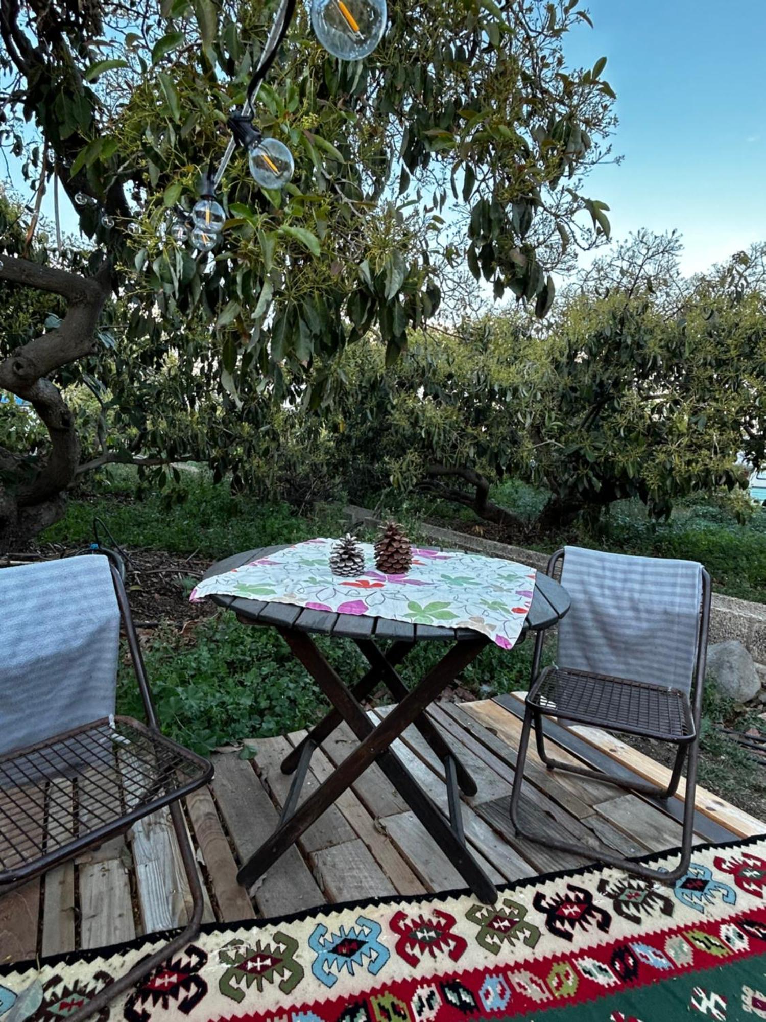 فندق Yurt In Avocado Garden غيمار المظهر الخارجي الصورة