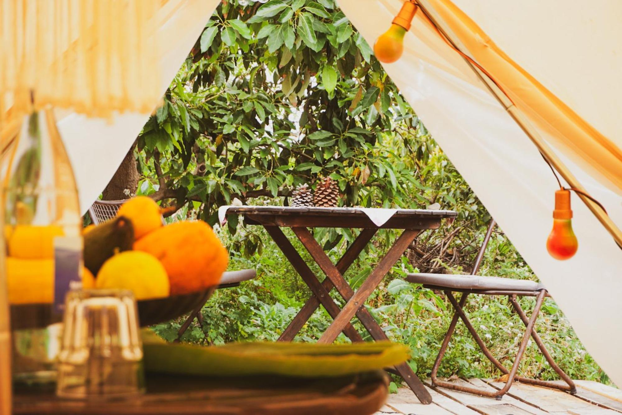 فندق Yurt In Avocado Garden غيمار المظهر الخارجي الصورة