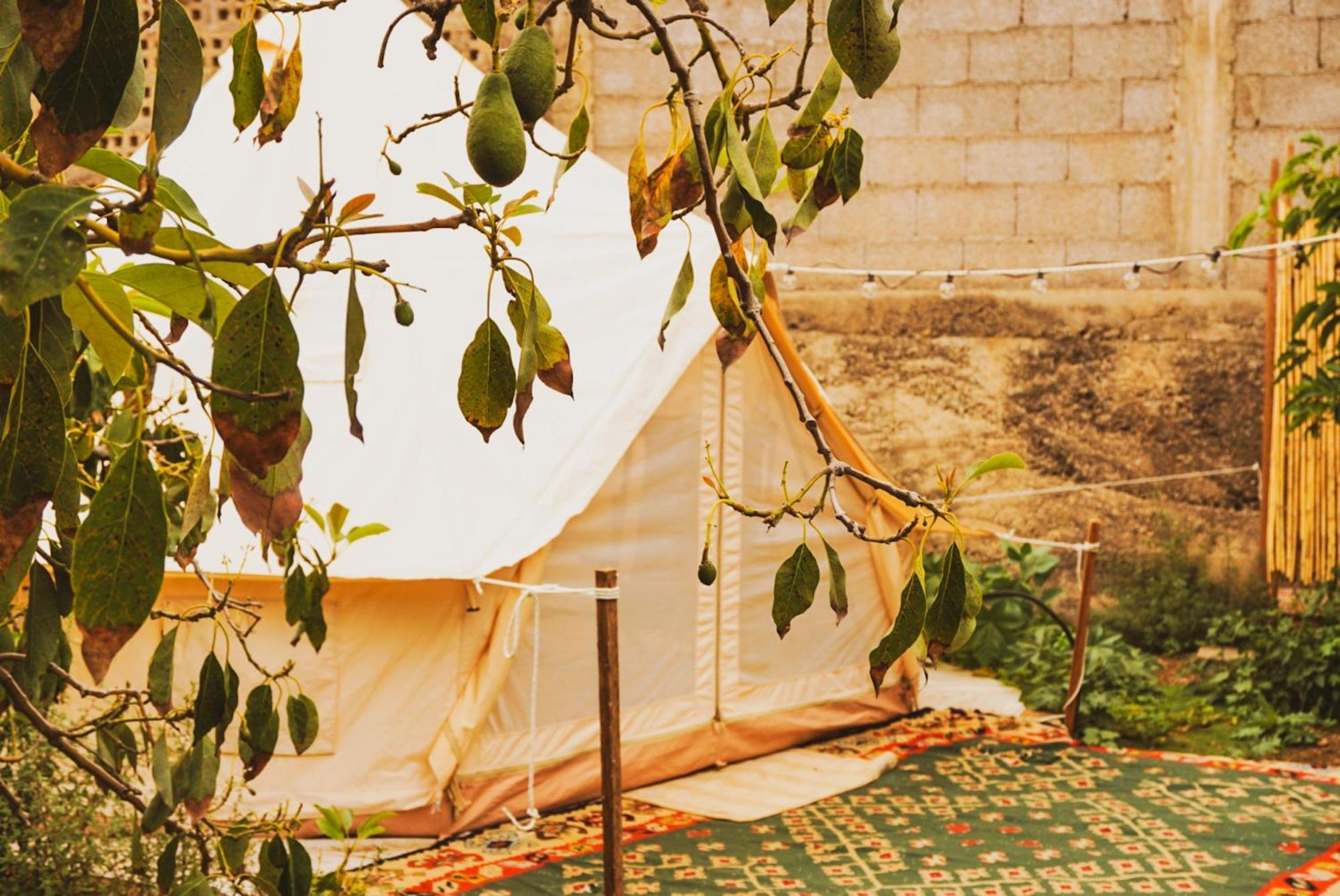 فندق Yurt In Avocado Garden غيمار المظهر الخارجي الصورة